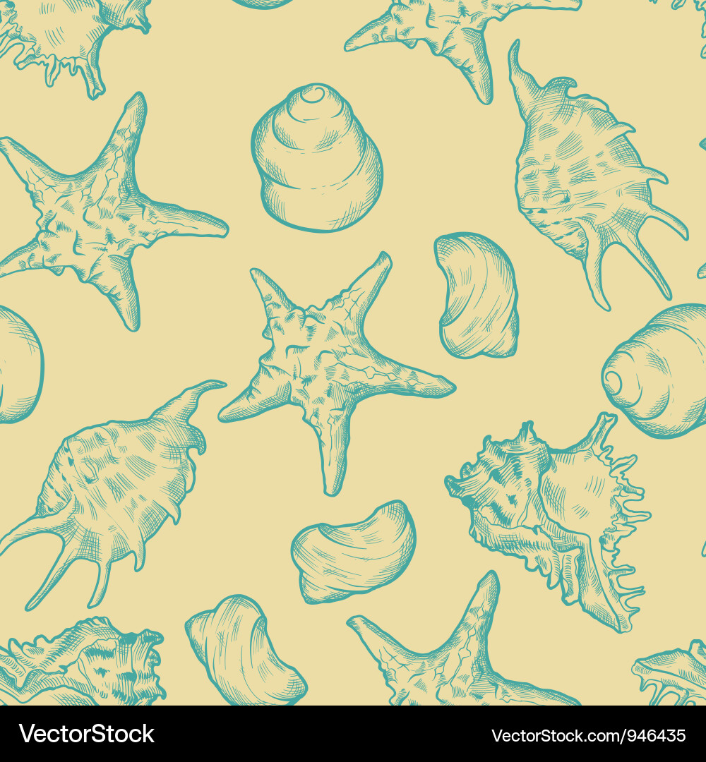 Seashell Muster Hintergrund Vektorbild