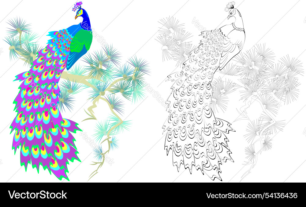 Colorful and black white pattern for coloring Colorful and black white pattern for coloring vector image