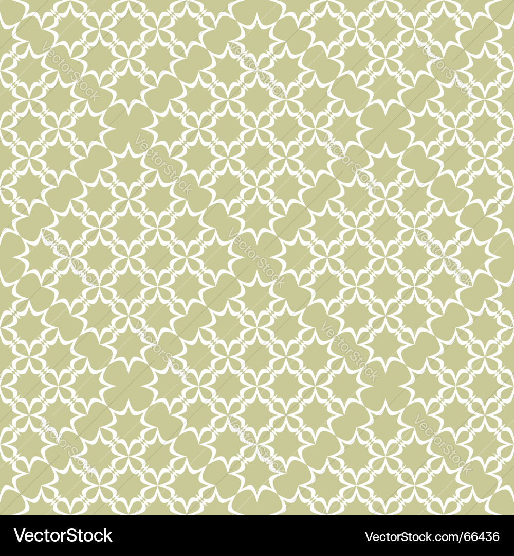 Delicate Lace Pattern vector image