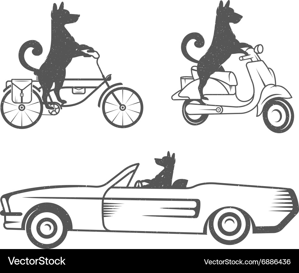 Vintage Dog Ride Vector Image