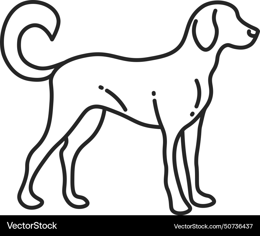 Dog line icon friendly pet animal symbol Dog line icon friendly pet animal symbol vector image