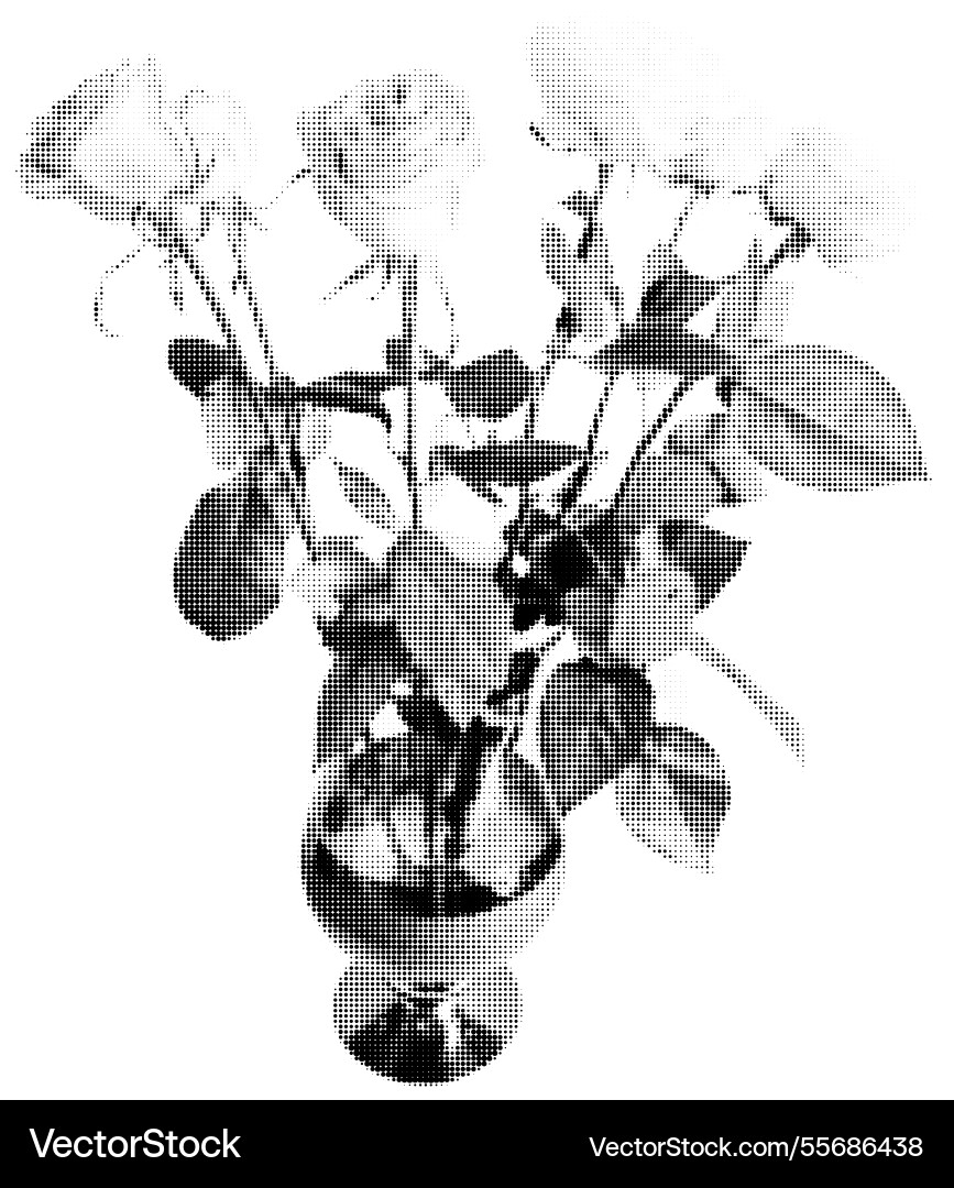 Halftone vase with roses bouquet Vector Image