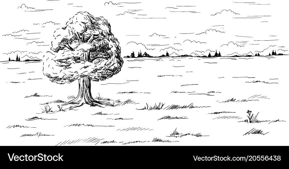 Lonely tree standing in the middle of field Vector Image