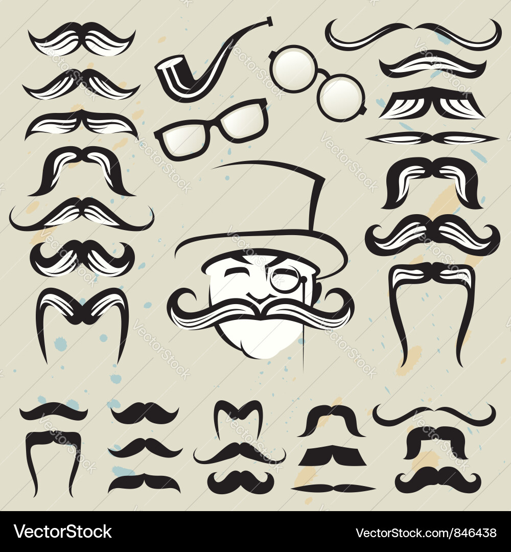 Retro Mustache Collection Vector Image