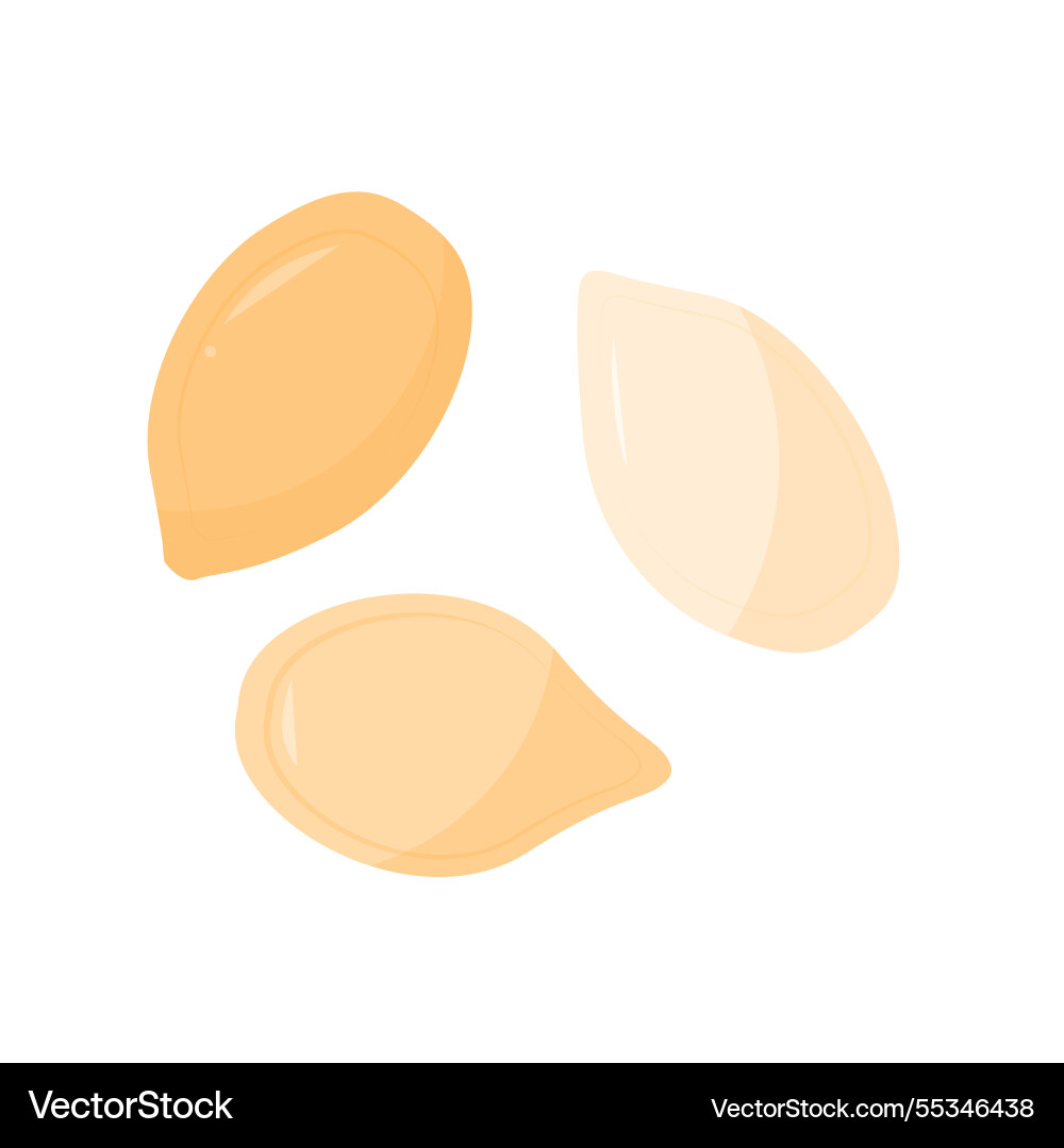 Shelled pumpkin seeds healthy food and snacking Shelled pumpkin seeds healthy food and snacking vector image