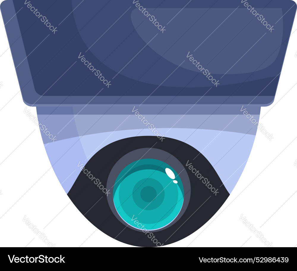 Security camera monitoring system keeping Vector Image