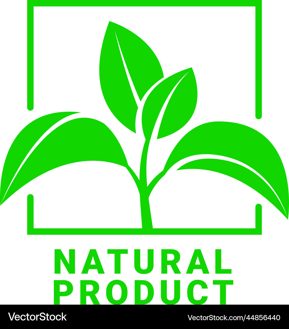 Natürliches Produktzeichen oder Stempelsymbol Natürliches Produktzeichen oder Stempelsymbol vektorbild