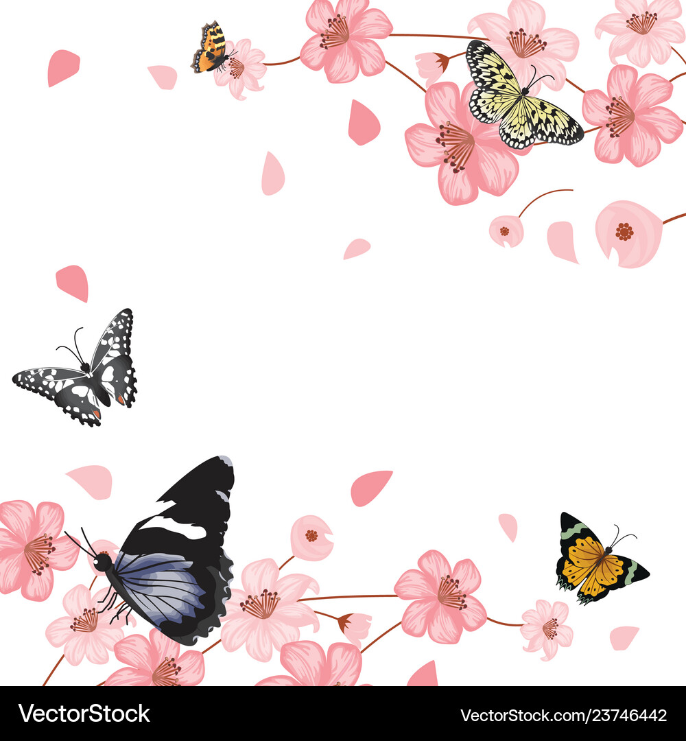Butterflies flower floral summer spring frame – Royalty-Free Vector |  VectorStock, image size:1000x1080