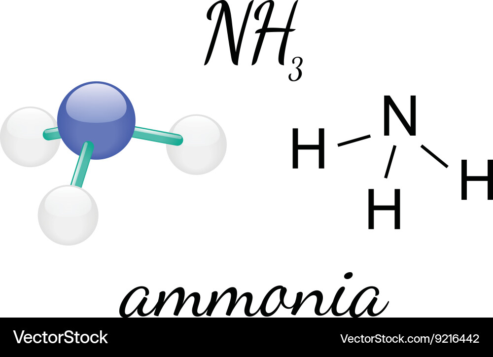 Nh3 ammonia molecule Royalty Free Vector Image