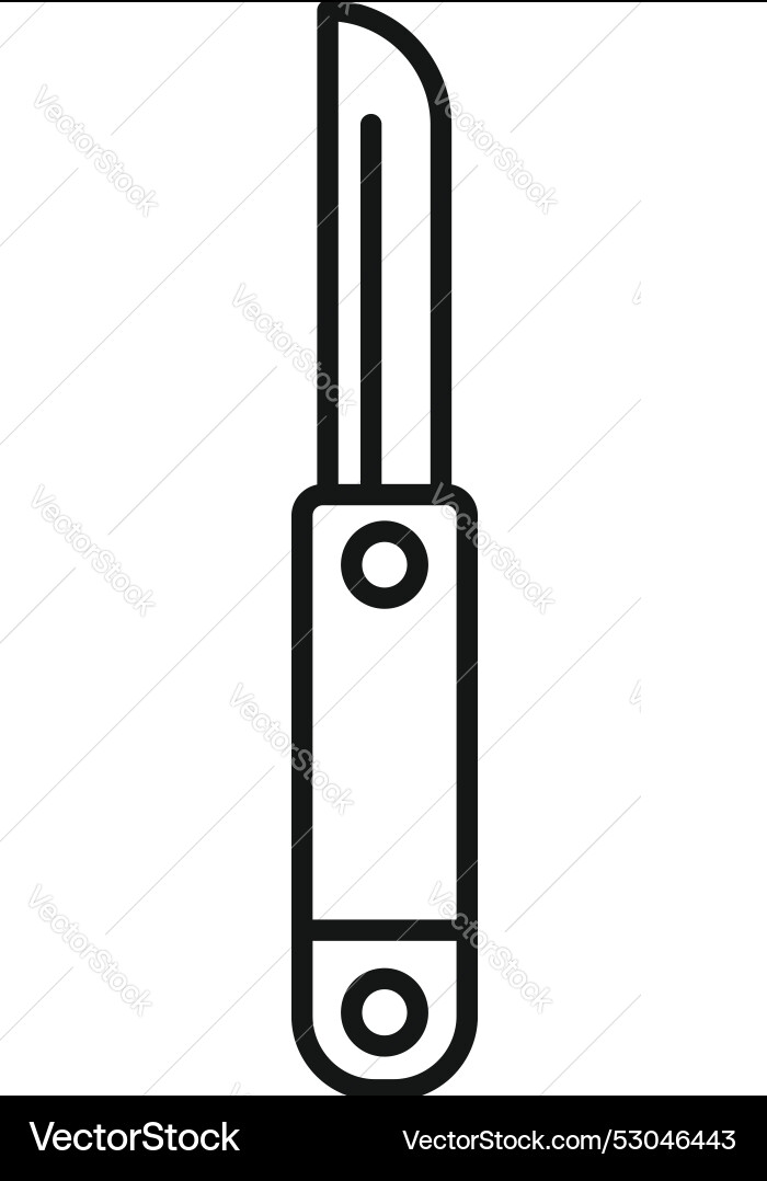 Steel peeler with wooden handle for peeling Vector Image
