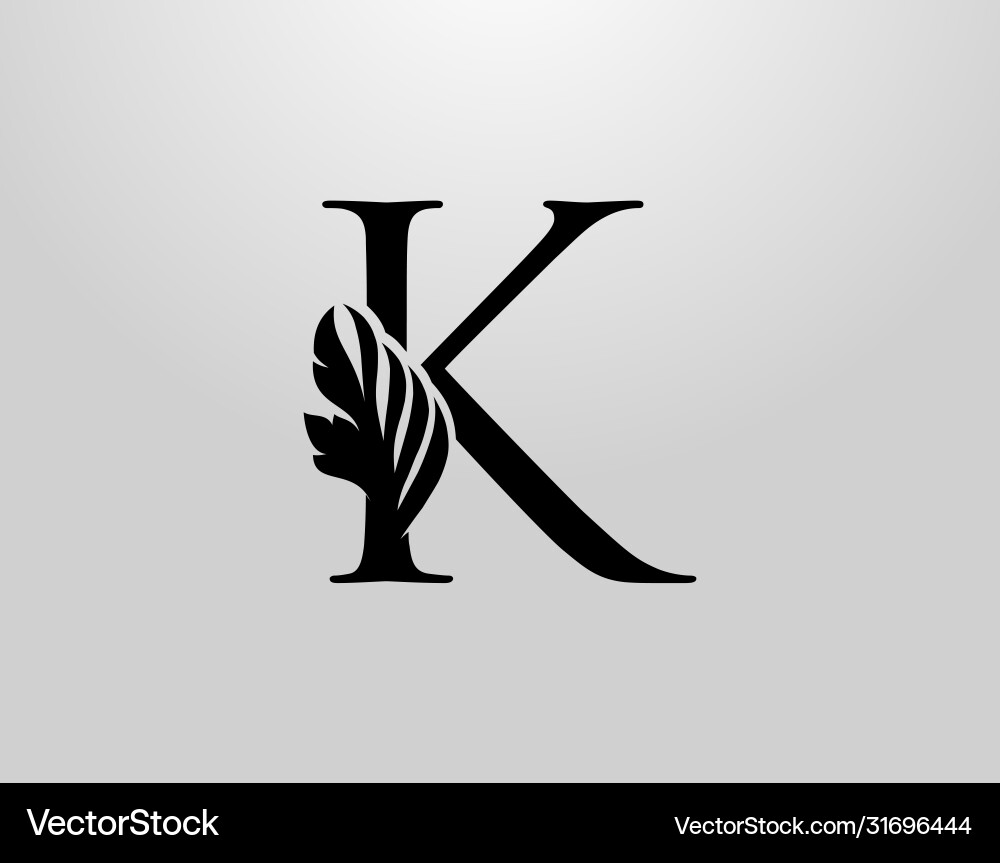 Initial k swirl logo classic letter design vector image