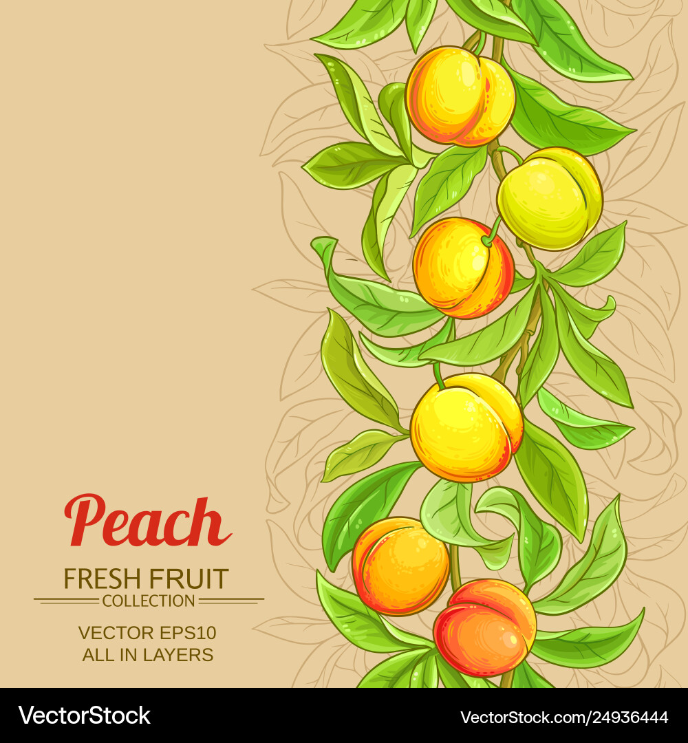 Peach branches pattern on color background Peach branches pattern on color background Vector Image