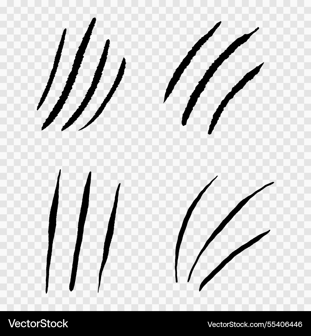 Claw marks scratches silhouette cat or wild Claw marks scratches silhouette cat or wild vector image