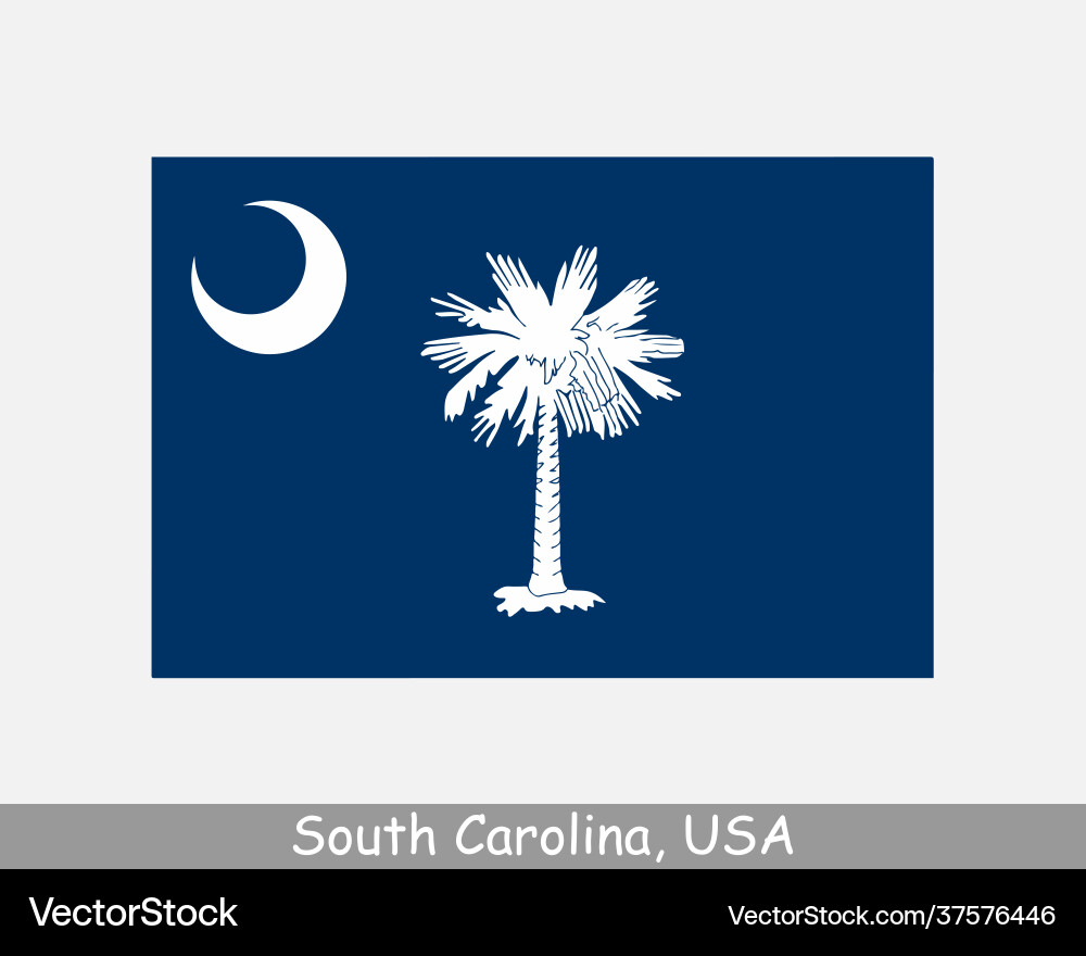 South Carolina State Flag vector image
