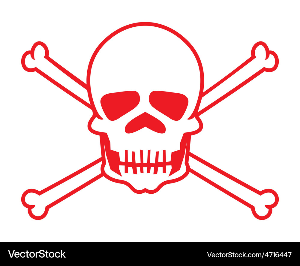 Skull2 resize Vector Image