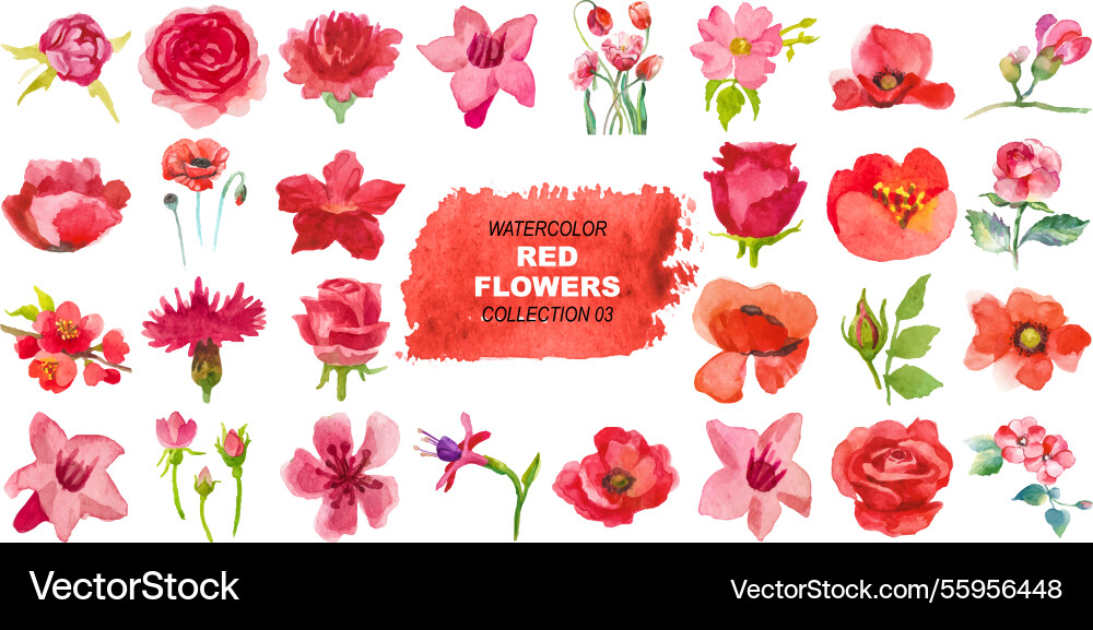 Watercolor painted red flowers clipart hand drawn Watercolor painted red flowers clipart hand drawn vector image