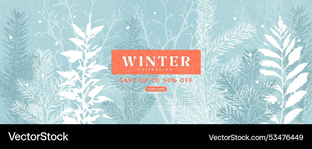 Winter collection sale modern banner with fir Winter collection sale modern banner with fir vector image