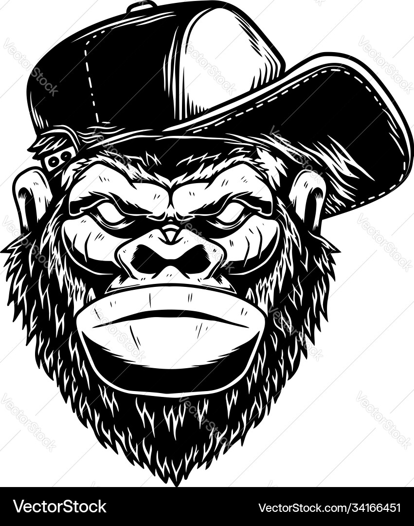 Head gorilla had in baseball cap vintage vector image