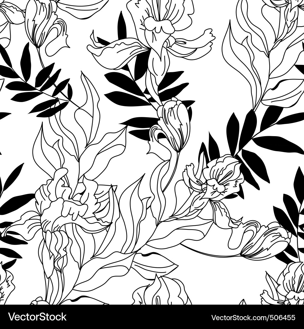 Elegant Floral Pattern Vector Image