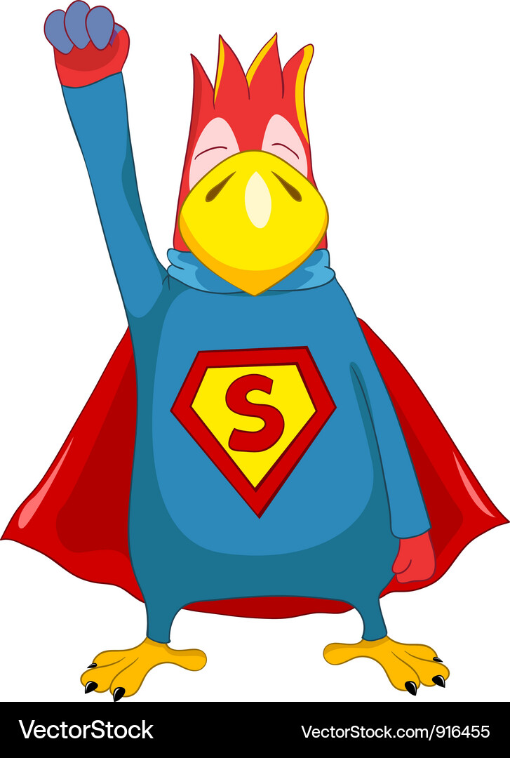 Superhero Parrot Vector Image