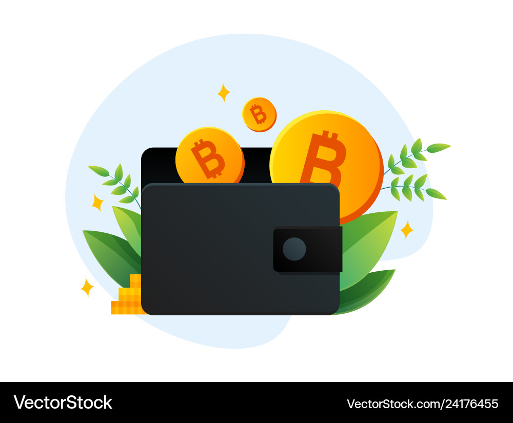 Virtual wallet with bitcoin in template Virtual wallet with bitcoin in template vector image