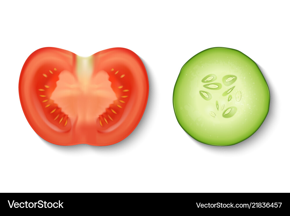 Fresh Cucumber Slice Vector Image