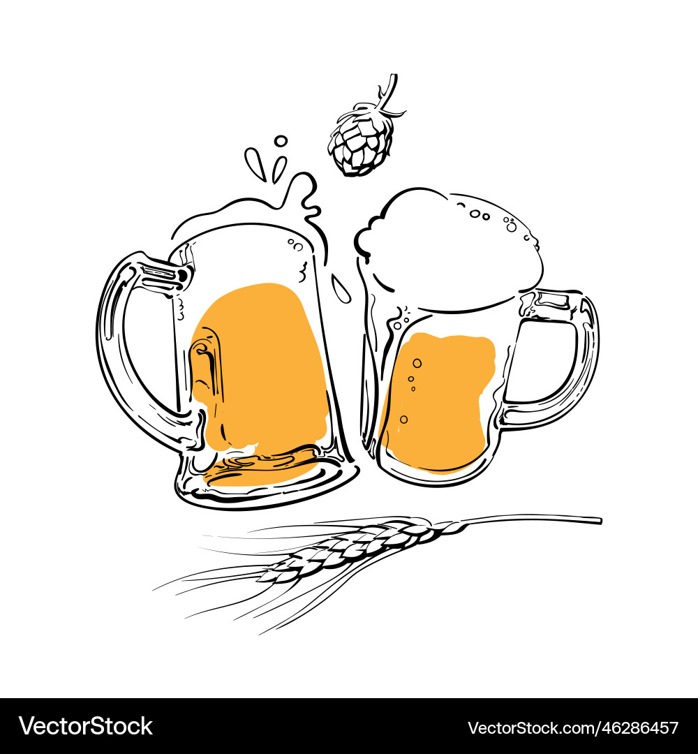 Sketch of two toasting beer mugs barley or wheat vector image