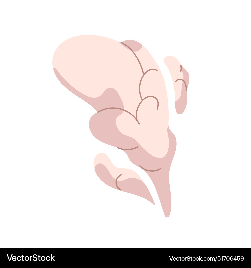 Cigarette smoke flow of vapor vapour clouds Cigarette smoke flow of vapor vapour clouds vector image