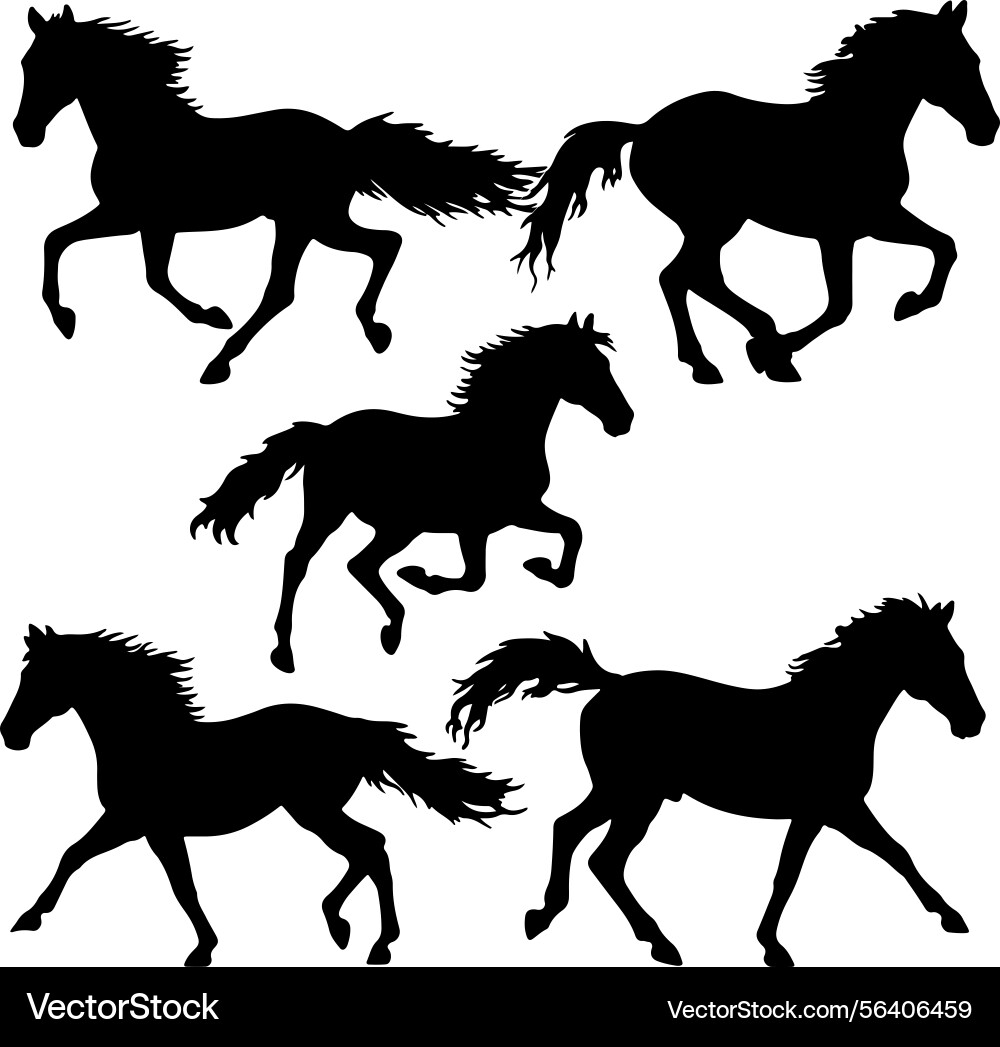 Silhouette set of running horse on white Silhouette set of running horse on white Vector Image