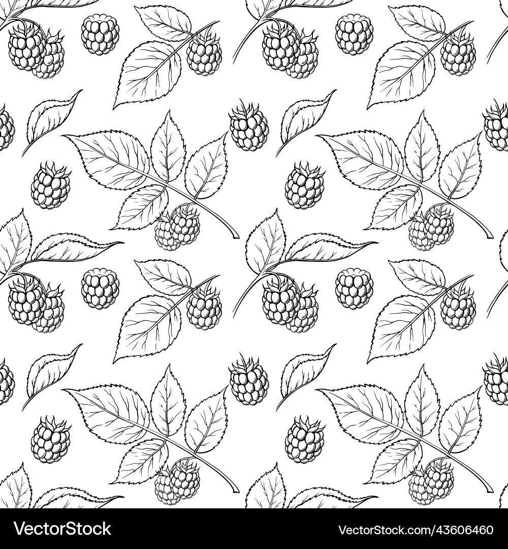 Raspberry Seamless Pattern - Berry Background vector image