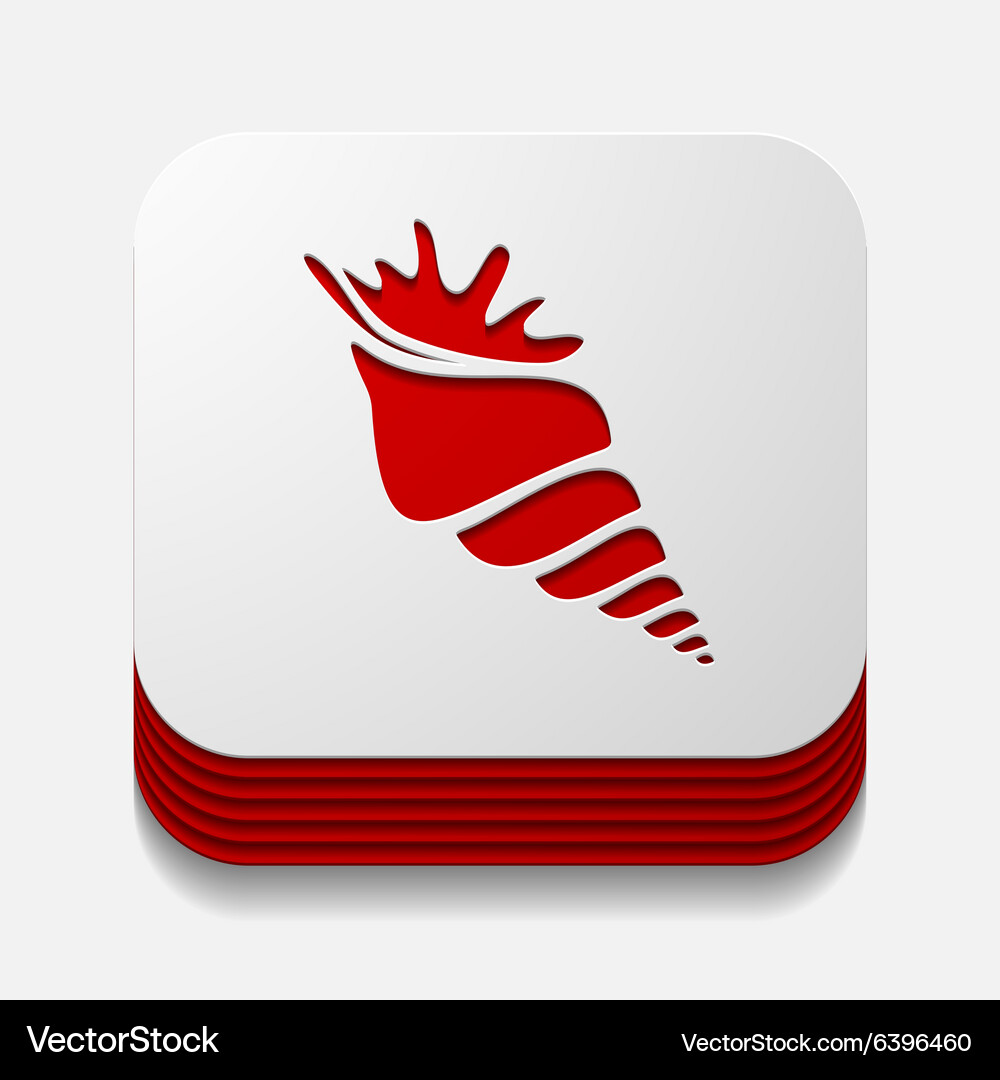 Square button shell Vector Image