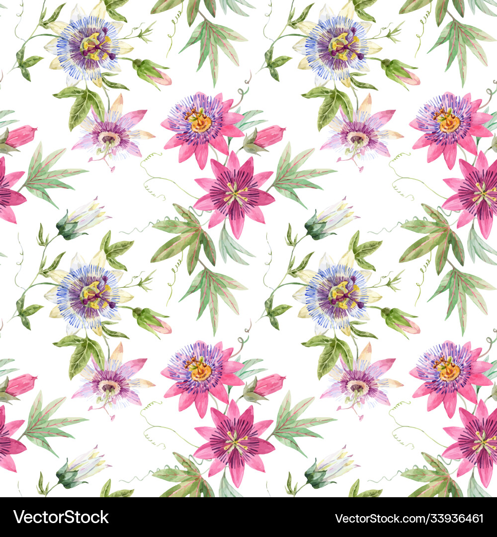 Watercolor Passionflower Pattern Vector Image