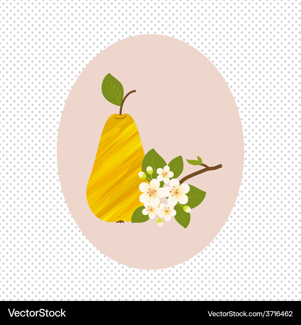 Pear fruit and flower blossom spring healthy Vector Image
