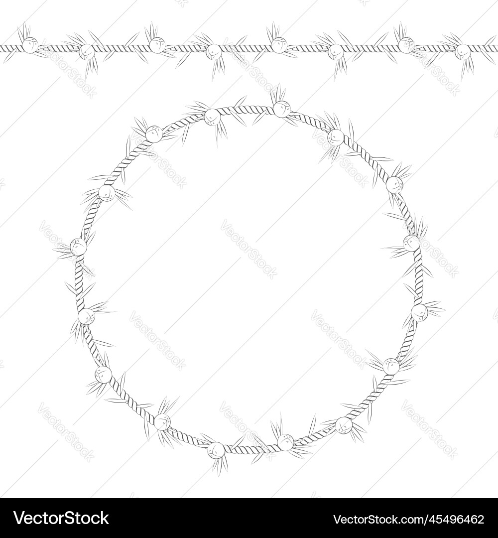 Seamless pattern and frame of cord with juniper Seamless pattern and frame of cord with juniper vector image