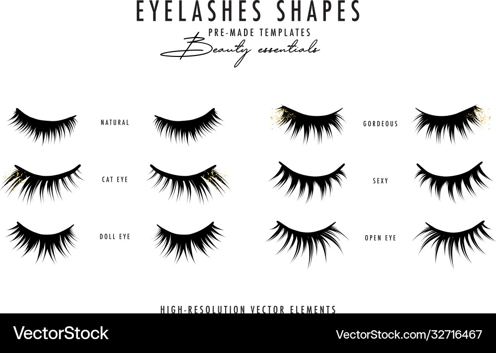 Eyelash extension beauty faux long eye lash vector image