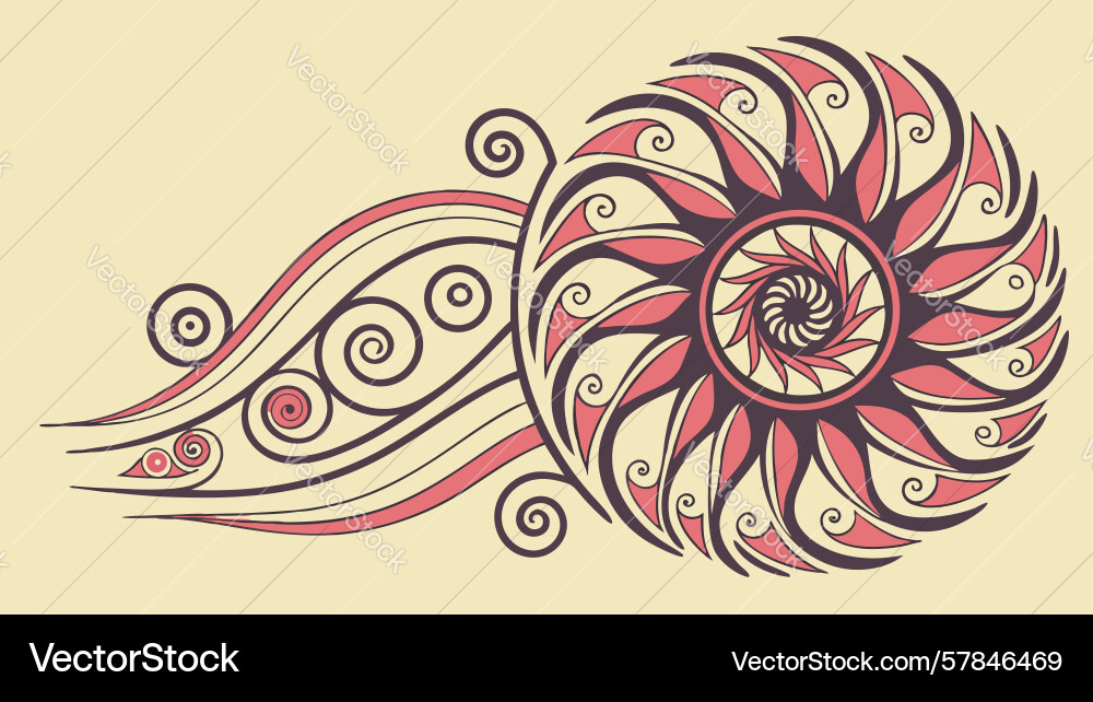 Nautilus shell abstract geometric pattern design vector image