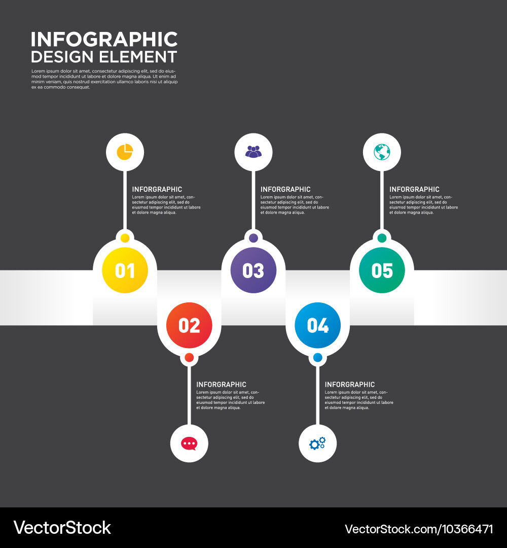 Infographic business report template layout vector image