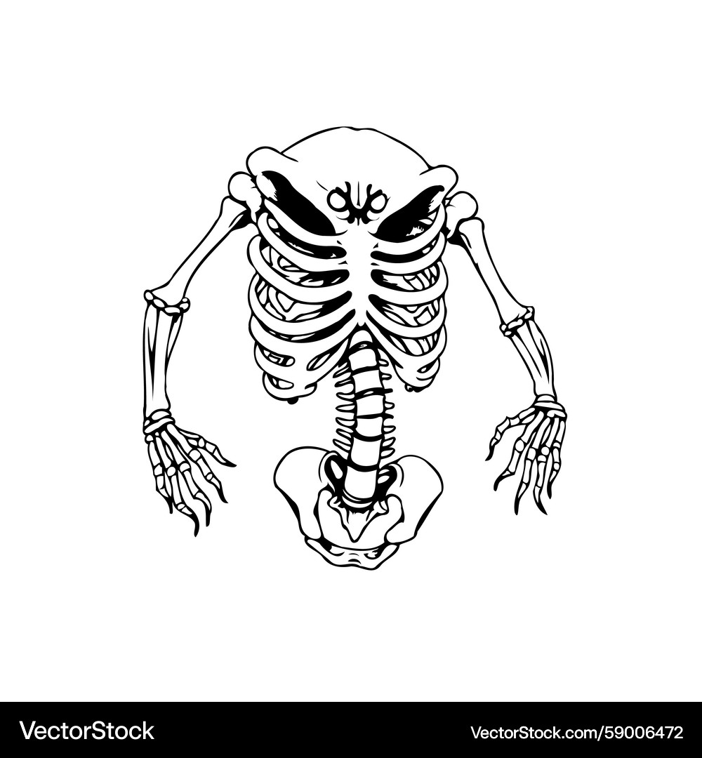 Stylized skeleton isolated on white background Vector Image