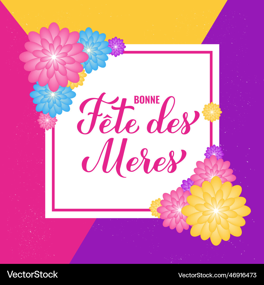 Bonne fete des meres happy mothers day in french Bonne fete des meres happy mothers day in french vector image