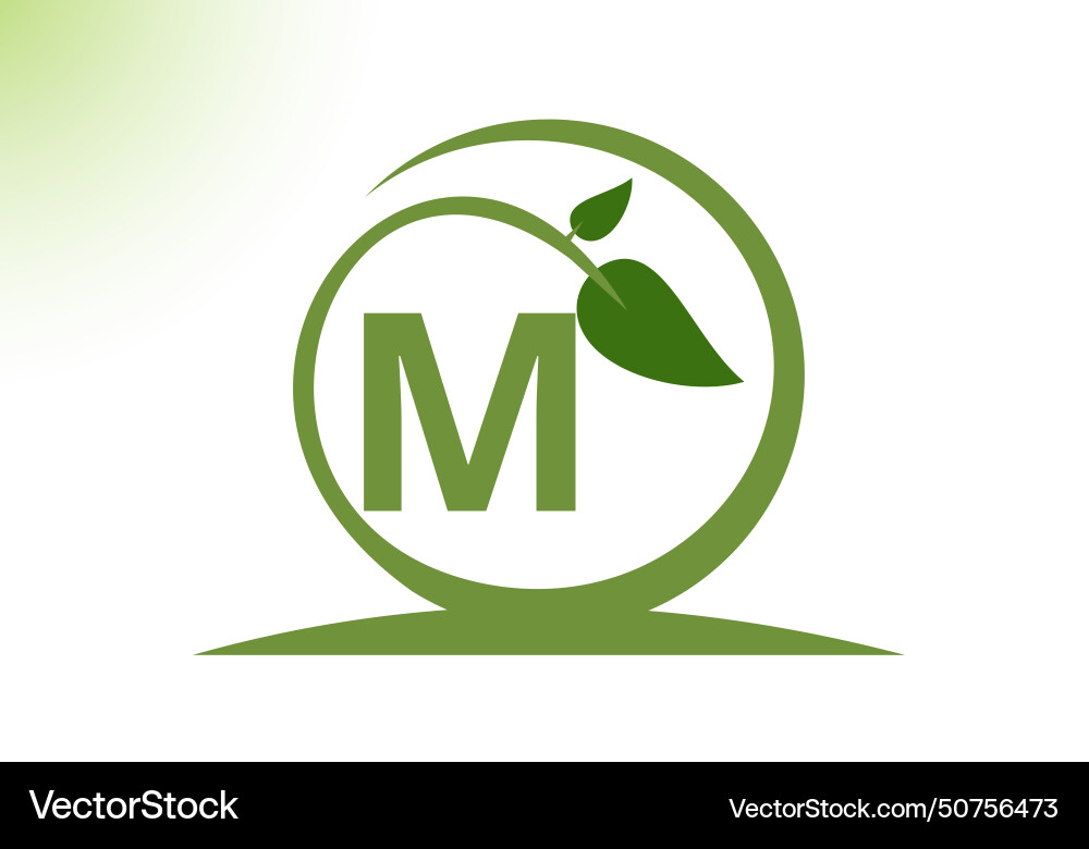 Letter m leaf logo design template Letter m leaf logo design template vector image