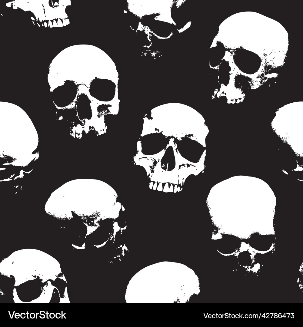 Skull Seamless Pattern Vector Image