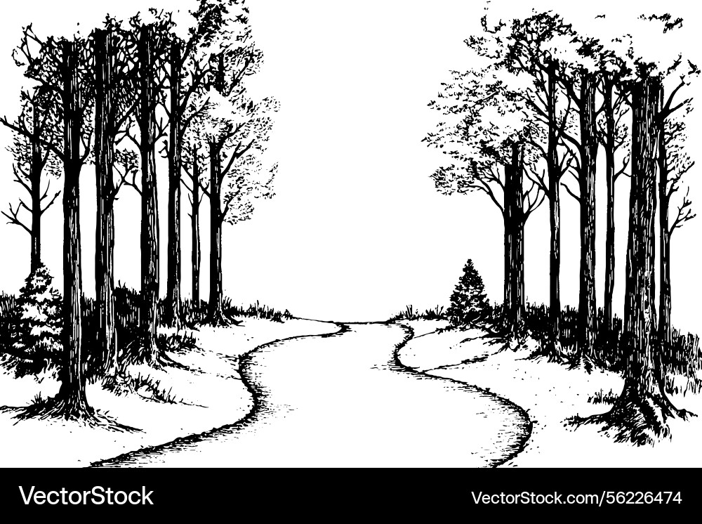 A black and white of winding path Royalty Free Vector Image
