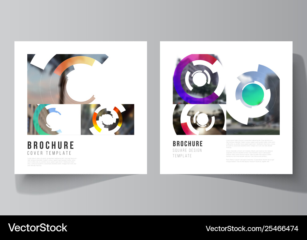 Minimal layout two square format Minimal layout two square format vector image