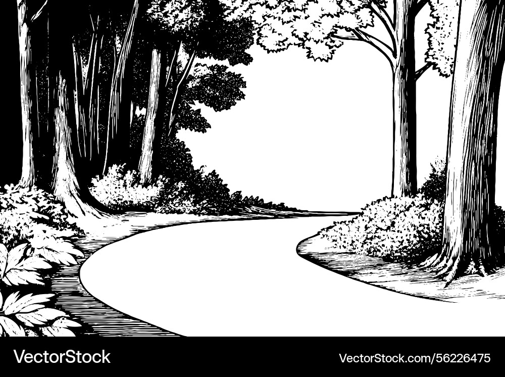 A winding path through dense forest surrounded Vector Image