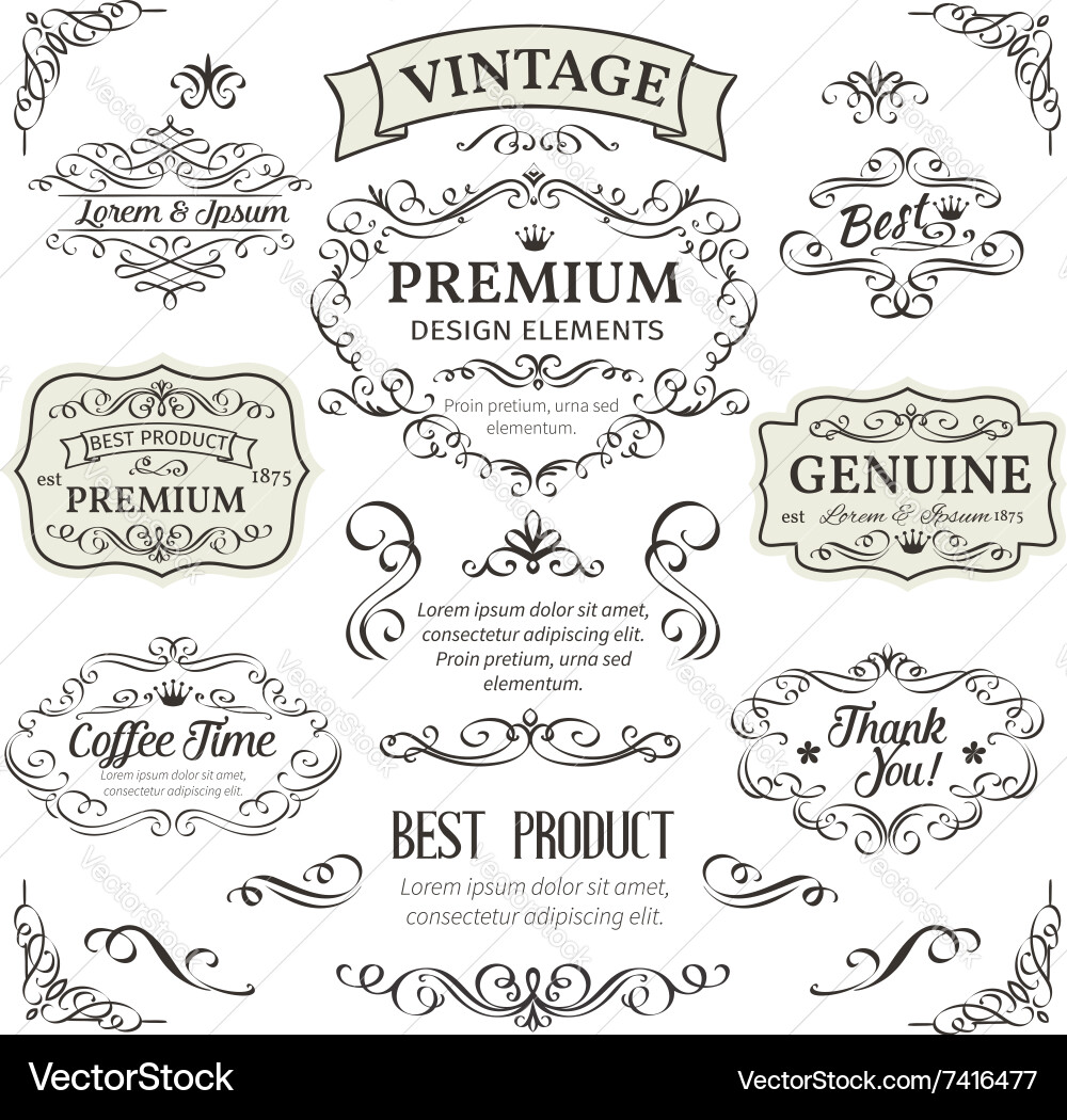 Calligraphic design elements Vector Image