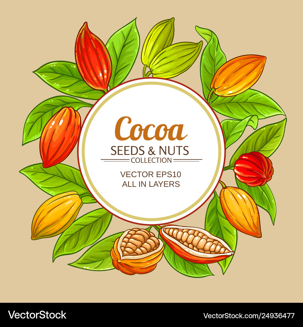Cocoa branches frame on color background Vector Image