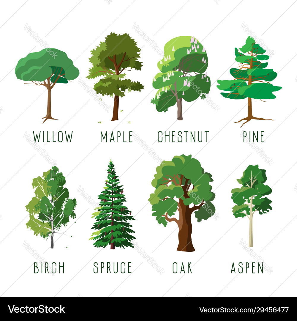 Isolated Trees in Summer vector image