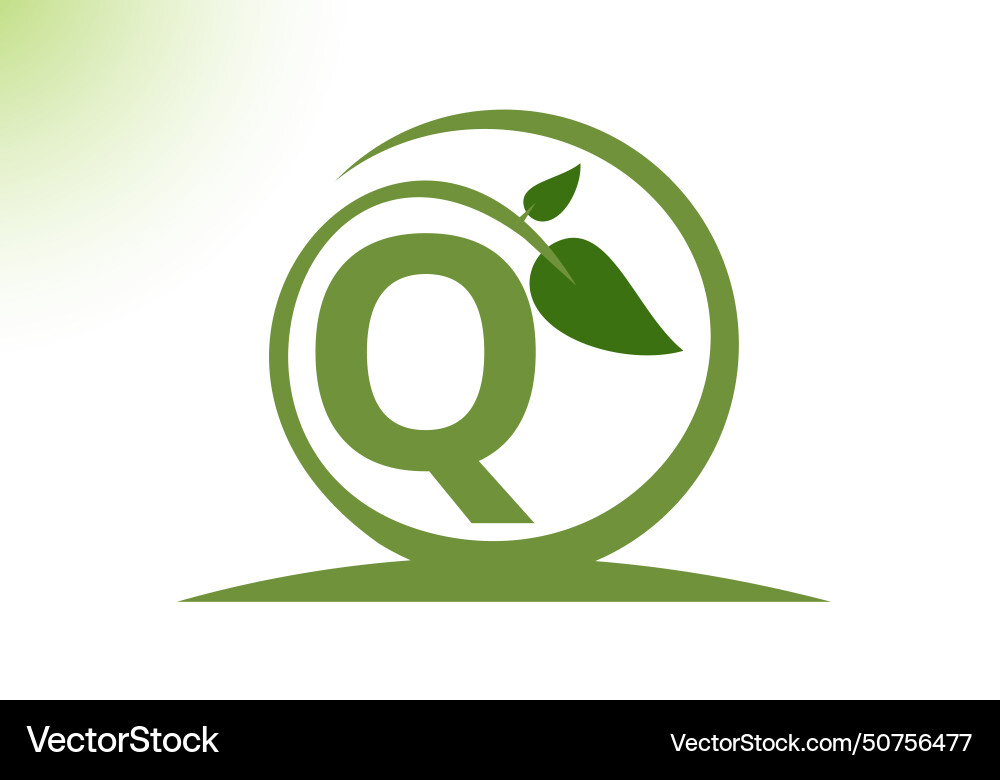 Letter q leaf logo design template Royalty Free Vector Image
