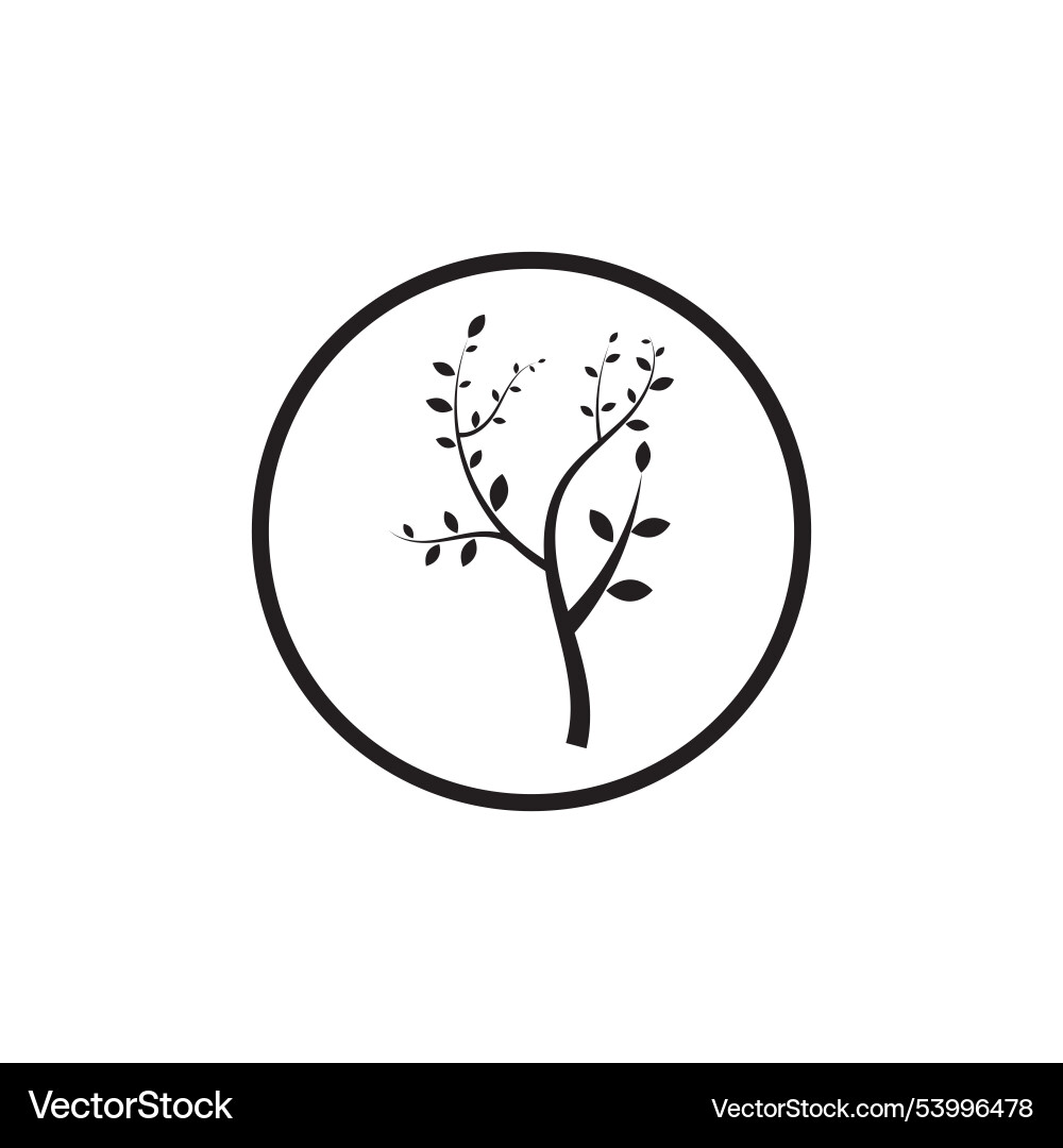Tree branch design template Tree branch design template Vector Image