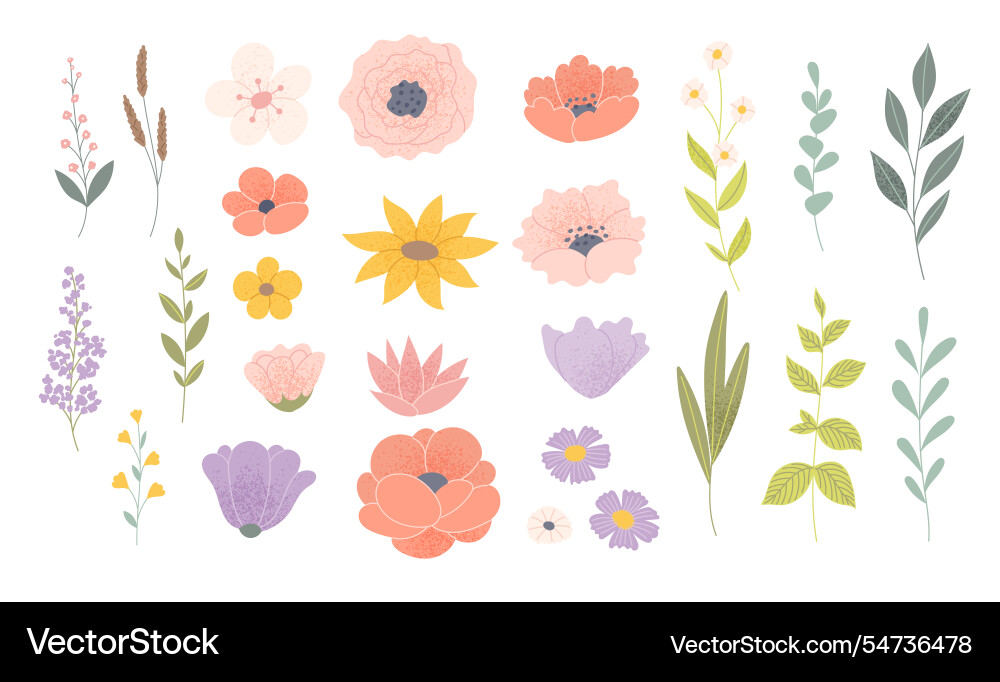 Wildblumen und Blätter setzen schöne Blumen Wildblumen und Blätter setzen schöne Blumen vektorbild